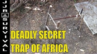 Survival Traps: Deadly Secret Trap Of Africa