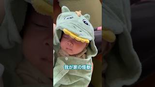 成長記録14 我が家の可愛い怪獣♡ #shorts  #baby #赤ちゃん#赤ちゃんのいる生活 #怪獣