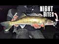 Catch More At NIGHT! - Spring Walleye Fishing