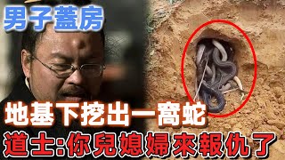 男子蓋房，地基下挖出一窩蛇，道士：這是你兒媳婦來報仇了！ | 民間故事 | 說故事的小琪