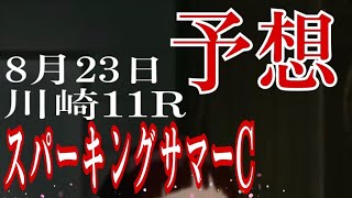 【反腰の読み上げ競馬予想】8/23 スパーキングサマーカップ（重賞）川崎11 R　　3連単1着固定