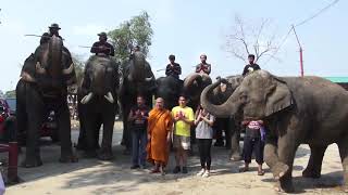 เชิญร่วมพิธีพุทธาภิเษกพระขุนแผนมหาเสน่ห์ช้างผสมโขลง