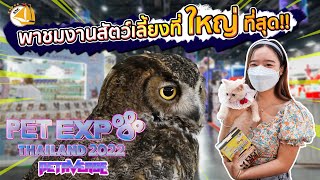 พาชมงานสัตว์เลี้ยงที่ใหญ่ที่สุดด!! #PETEXPRO2022 - SNC FISHROOM #petexpro #petaverse #Exotic #ปลาสวย