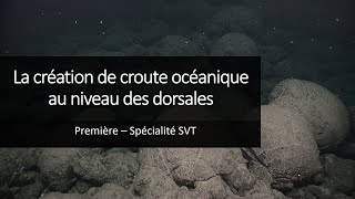 Cours Spé SVT 1eres - La création de la croute océanique au niveau des dorsales