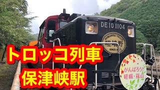 ［GO to トラベル］山の中にある保津峡駅を探索