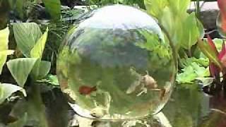 Add-A-Sphere Installation.wmv