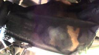 DO NOT USE AAMCO Front Royal, Virginia! "Replaced" seal, just a week later