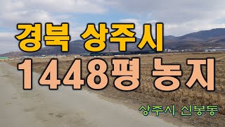 (매물번호 7689)경상북도 상주시 신봉동 농지, 경지정리된 농지중 하나, 1448평으로 하우스 용도로 추천, 현재 논으로 사용중,  시내인근에 위치하고 있으며 투자용도로도 가능