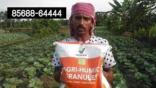 vestige agri humic granules #vestigeagrihumic #vestige #vestigeagri