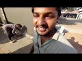 daily vlog20 by👋🏻 by 2024 അങ്ങനെ ഈ വർഷം പോയി 😂🔥 single machan