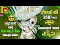 శ్రీలంకలో 🇱🇰 ఎత్తైన టవర్ ఎక్కాను మామా | Ambuluwawa Craziest Tower In Sri Lanka 🇱🇰 | Srilanka Vlogs