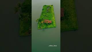 Kumbalangi is an island village in the outskirts of Kochi city in the state Kerala#kochi #newvideo