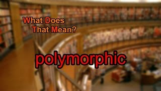 What does polymorphic mean?