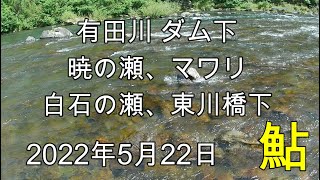 220522 【鮎釣り】有田川 ダム下 暁の瀬 マワリ 白石の瀬 東川橋下