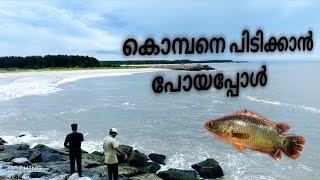 കൊമ്പനെ പിടിക്കാൻ പോയപ്പോൾ|fishing