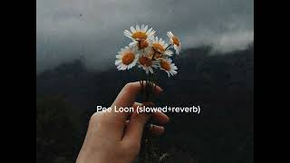 Pee Loon (slowed+reverb)  | Song | Bollywood Songs