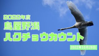 2022年10月28日鳥屋野潟ハクチョウカウント