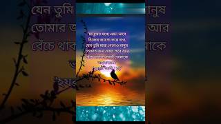 মনীষীদের বাণী। হযরত আলী রাদিয়াল্লাহু আনহু এর কিছু বাণী। Motivational gojol #নাতে_সরকার #sheikhsaye