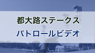 都大路ステークス　2020 パトロールビデオ　(ベスデンダンク)