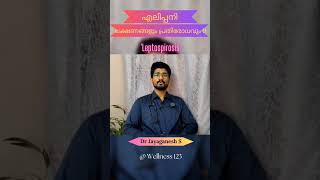 എലിപ്പനി | Leptospirosis - ലക്ഷണങ്ങളും പ്രതിരോധവും #leptospirosis #എലിപ്പനി