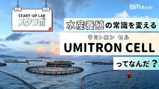 水産養殖コスト「7割が餌代」、スマート給餌機から挑む「水産養殖DX」がスゴイ