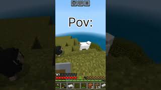 خلاصه حواستون به گوسفند های دورتون باشه #minecraft #funny #memes #games