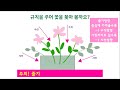 쉽게 따라하는 꽃바구니 만들기 5단계 2회차 미니쌤 원예수업