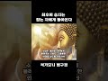 최후의 승자는 참는자에게 돌아온다 살아있는 동안 뼛속까지 새겨야 할 부처님 말씀 108가지 석가모니 부처님 말씀ㅣ불교명언ㅣ인생조언ㅣ깨달음