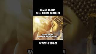 최후의 승자는 참는자에게 돌아온다 - 살아있는 동안 뼛속까지 새겨야 할 부처님 말씀 108가지 - 석가모니 부처님 말씀ㅣ불교명언ㅣ인생조언ㅣ깨달음