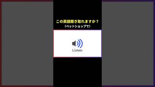 【ペットショップで】ネイティブの英語聞き取れますか？　#英語聞き流し #英語リスニング