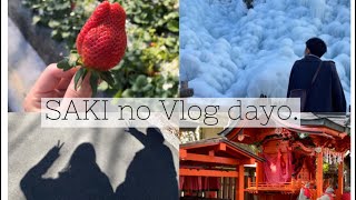 【Vlog】秩父/いちご狩り/ムーミンバレーパーク【埼玉Vlog】