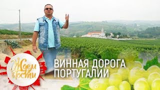 #Португалия: винная дорога | ЖДЁМ В ГОСТИ