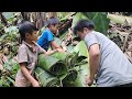 harvesting leaves picking up snails selling ducks. make banana bread and enjoy