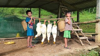 Harvesting leaves Picking up snails, selling ducks. Make banana bread and enjoy