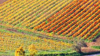 Enchanted Country, Ripatransone (Italy)