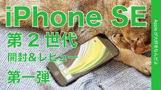 来たぞ！iPhone SE 第2世代実機 開封＆レビュー第一弾！XRの小型のような8の進化版のようなユルさが良い・8/XR/11/11Proと比較