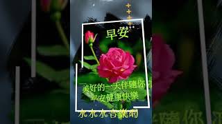 好友友👫早安💗小週末美好⚘⚘⚘