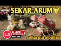 SEKAR ARUM ft ACR LION BOYS live SEKARPURO PAKIS