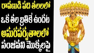 రావణుడి పది తలలలో ఒక తల ఇంకా బ్రతికే ఉందట | అసురపర్వతాలలో సంజీవని మొక్కలపై | WMB PICTURES