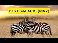 Best African Safari Destinations In May (2025)