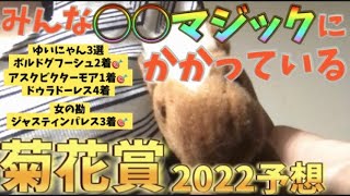 【2022菊花賞予想】狙いの穴馬から本命まで！