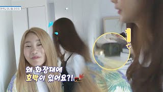 왜 화장대에 호박이? 제아(JeA) 언니 집 청소 좀 해요 ㅋㅋ 혼족어플(honlife) 6회