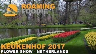 Keukenhof 2017 | Flower Show in the Netherlands | 4K