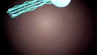 Jellyfish in openFrameworks!