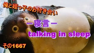 俺と姪っ子のお付き合い－寝言－その1667 talking in sleep