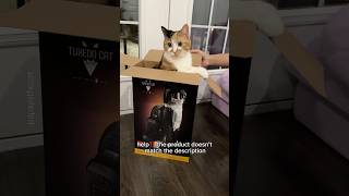 unboxing my cat lego went wrong 😱 #cat