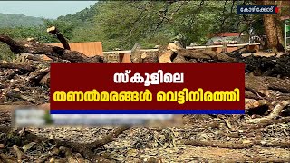 സ്കൂൾ മുറ്റത്തെ തണൽമരങ്ങൾ വെട്ടി നീക്കി മാനേജ്മെൻറ്; വിദ്യാർത്ഥികൾ പ്രതിഷേധത്തിൽ