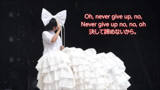 洋楽　和訳 Sia - Never Give Up