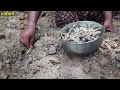 হলুদ চাষ পদ্ধতি cultivation method of turmeric