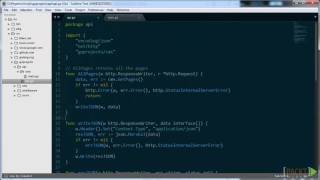 Go Projects : JSON in Go | packtpub.com